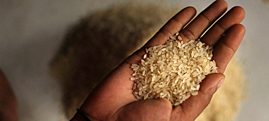 Indian rice bags stacked for export amid China rejection controversy