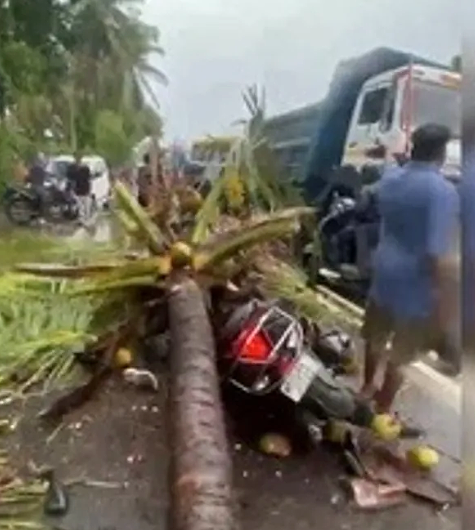 Rahul Ashok Patil's motorcycle after a coconut tree collapsed during heavy rain in Thane, Maharashtra.