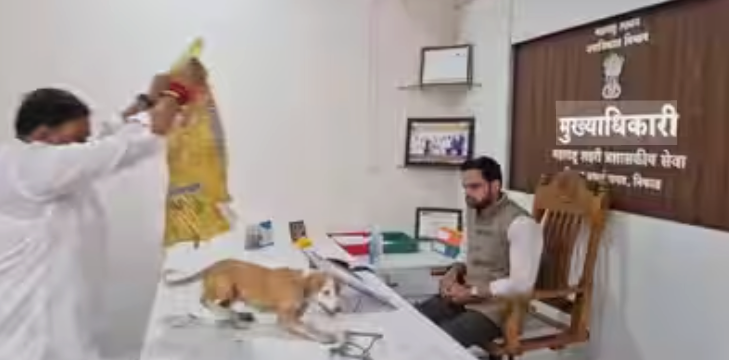 Stray Dogs Released Inside Officer’s Office During Protest